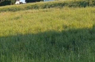 Einfamilienhaus kaufen in 71101 Schönaich, Schönaich - Bestlage: Ruhiges, idyllisch gelegenes Haus