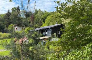 Haus kaufen in 34359 Reinhardshagen, Reinhardshagen - Holzbungalow in Waldrandlage