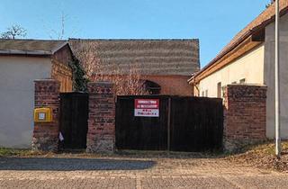 Bauernhaus kaufen in 06774 Muldestausee, Muldestausee - Bauernhaus mit großem Garten