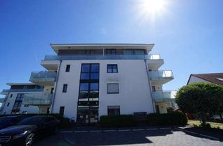 Wohnung kaufen in Industriestraße 1b, 67454 Haßloch, Barrierefreie Erdgeschosswohnung großer Terrasse und Tiefgarage – sofort beziehbar