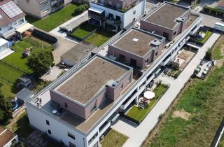 Wohnung kaufen in Neckarhauser Straße 42b, 68535 Edingen-Neckarhausen, Moderne und energieeffiziente 3-Zimmer-Wohnung mit Balkon (WE 25)