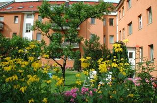 Wohnung kaufen in Auguste-Viktoria-Allee 63, 13403 Reinickendorf, Gepflegte 2-Zimmer-Wohnung mit Einbauküche in einer ordentlichen und grünen Anlage