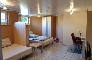 Wohnung mieten in 91352 Hallerndorf, Lichtdurchflutete, unmöblierte Kellerwohnung mit großflächigen Zimmern