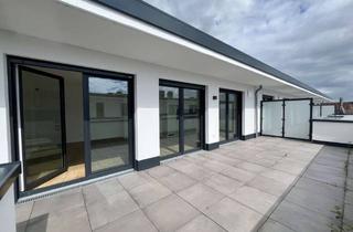 Penthouse mieten in 55252 Mainz-Kastel, Zweizimmerpenthouse mit großer Dachterrasse , EBK, und TG-Stellplatz in Mainz-Kastel