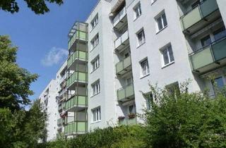 Wohnung mieten in Dr.-Martin-Luther-King-Str. 42, 19061 Haselholz, 2-RW, Erdgeschoss, Aufzug, Tageslichtduschbad