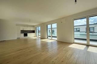 Penthouse mieten in 55252 Mainz-Kastel, Penthousewohnung mit vier Zimmern, Küche, Balkon und Stellplatz in Mainz-Kastel