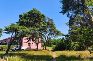 Wohnung mieten in Amsterdamer Straße 6B, 14641 Wustermark, Wunderschöne 3-Zimmer- Wohnung mit großem Balkon im grünen und ruhigen Wustermark !!!