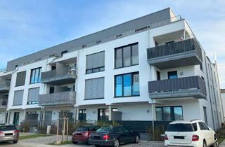 Wohnung mieten in 79418 Schliengen, Moderne 2-Zimmer Wohnung mit Balkon (W11)