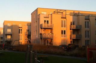 Wohnung mieten in Hannes-Meyer-Straße 2-8, 14469 Bornstedt, Gemütliche 2 -Zimmer-Wohnung mit großer Terrasse und Mietergarten