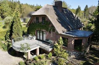 Haus kaufen in 17192 Kargow, stadtnahes Reetdachhaus, ein Ort zum Wohlfühlen mit Fernblick in den Müritz-Nationalpark