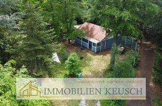 Haus kaufen in 27327 Martfeld, Energieeffizienzträumchen & Waldschlösschen in der Natur! Ihr neues Ferienhaus auf Pachtgrundstk