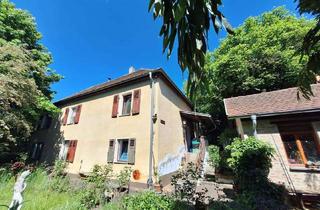 Haus kaufen in 92224 Amberg, Urbaner Komfort in naturnaher Wohnqualität am Fuße des Mariahilfberges - provisionsfrei