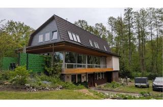 Einfamilienhaus kaufen in 29361 Höfer, Großes Top Einfamilienhaus in besonderer Lage.