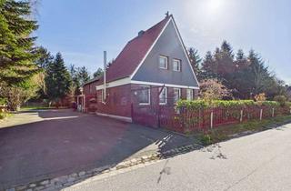 Einfamilienhaus kaufen in 25693 St. Michaelisdonn, Leben im Grünen: Einfamilienhaus mit Kamin, großem Grundstück & Entwicklungspotenzial