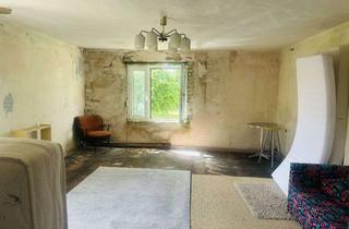 Bauernhaus kaufen in 04924 Bad Liebenwerda, Charmanter Bauernhof mit Renovierungspotenzial – gestalten Sie Ihr Traumhaus!