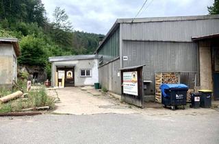 Gewerbeimmobilie kaufen in 01814 Porschdorf, Gewerbehalle mit Freifläche zur Selbstnutzung