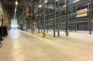 Gewerbeimmobilie mieten in 56290 Beltheim, Lagerhalle mit Schwerlastregalen, ca. 1.140 m², in 56290 Beltheim PROVISIONSFREI zu vermieten