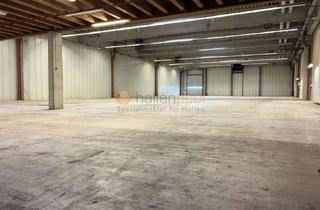 Büro zu mieten in 56290 Beltheim, Moderne Lagerhalle, ca. 1.170 m², Galerie-Büros in 56290 Beltheim PROVISIONSFREI zu vermieten