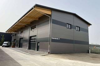 Gewerbeimmobilie mieten in Daimlerstraße, 86836 Untermeitingen, Neubau-Gewerbehalle 1.238 m² | Hallenhöhe 11 m | Starkstrom | LKW-Zufahrt | A96 Augsburg–München