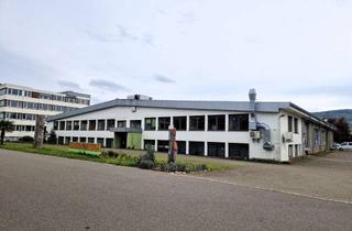 Gewerbeimmobilie mieten in 79713 Bad Säckingen, Industriehalle mit Freifläche in Bad Säckingen