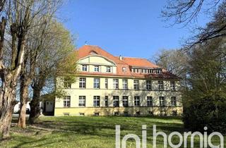 Anlageobjekt in 01477 Arnsdorf, Renditestarke Anlageimmobilie (4,3%) vor den Toren von Dresden