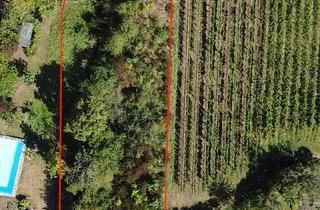 Grundstück zu kaufen in 67487 Maikammer, Traumgrundstück mit unverbaubarem Blick auf das Hambacher Schloss
