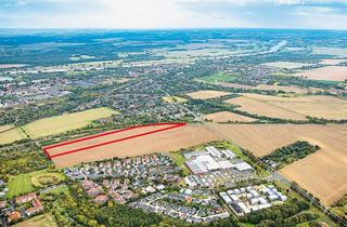 Grundstück zu kaufen in Lange Trift, 39120 Magdeburg, 2,8 ha Ackerfläche (ertragreicher Bördeboden) - Spekulations-/Ausgleichsfläche