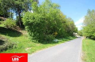 Grundstück zu kaufen in 63637 Jossgrund, Traumgrundstück mit Fernblick am Rande von Pfaffenhausen!
