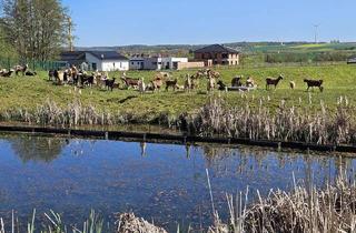 Grundstück zu kaufen in Offenbergblick 16, 34369 Hofgeismar, Baugrundstücke im Neubaugebiet Offenbergblick! Keine Provision! Kein Bauzwang!