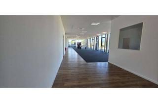 Büro zu mieten in Wilhelm-Leonhard-Straße 16, 77694 Kehl, ZU VERMIETEN - Ansprechende Bürofläche