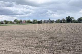 Immobilie kaufen in 40667 Meerbusch, Ackerlandparzelle in Meerbusch