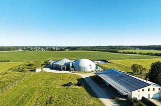 Immobilie kaufen in An Der Mühle, 03130 Hornow-Wadelsdorf, Betriebsgelände mit Wohnhaus, Biogasanlage und Nebengebäude