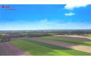 Gewerbeimmobilie kaufen in 49688 Lastrup, Gutes Ackerland in Lastrup zu verkaufen