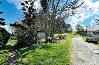 Gewerbeimmobilie kaufen in Am Zehnberg, 38871 Darlingerode, 11 ha Holzungsfläche (Trüffelstandort mit gutem Bestand an aromatischen Trüffeln)