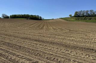 Gewerbeimmobilie kaufen in 94437 Mamming, Landwirtschaftliche Fläche der Gemarkung Mamming