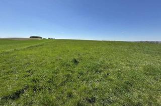 Gewerbeimmobilie kaufen in 94437 Mamming, Landwirtschaftliche Fläche der Gemarkung Mamming