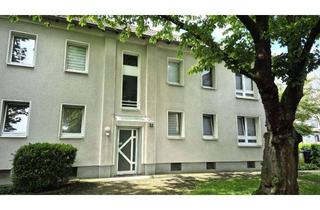 Wohnung mieten in Donarstr. 33, 44359 Nette, Jetzt zugreifen: renovierte 2-Zimmer-Single-Wohnung