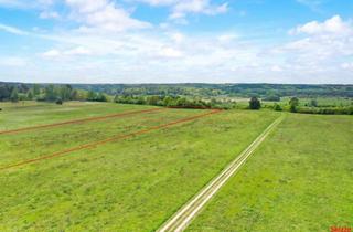 Gewerbeimmobilie kaufen in 16248 Niederfinow, Naturgrundstücke in Niederfinow – insgesamt ca. 11.440 m²
