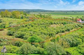 Gewerbeimmobilie kaufen in 16248 Niederfinow, Grundstück in Niederfinow – ca. 13.793 m² mit direkter Zufahrt von der Hebewerkstraße