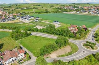 Grundstück zu kaufen in 67586 Hillesheim, Hillesheim Bauträgergrundstück 2642 m2 Toplage faktisches Mischgebiet