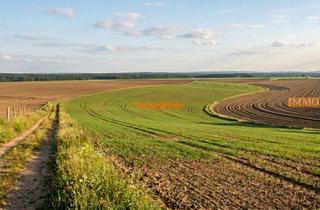Grundstück zu kaufen in 79235 Vogtsburg, IMMORath.de - Landwirtschaftliche Nutzfläche zu verkaufen