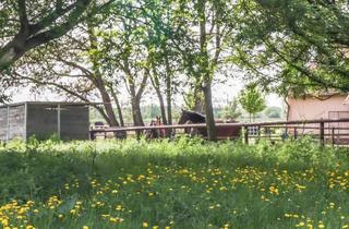 Wohnung kaufen in 14532 Stahnsdorf, 3-Zimmer-Wohnung im Grünen – ideal für Pferde- und Naturliebhaber