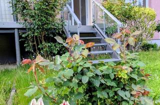Wohnung mieten in Finsterwalder Straße 21b, 03048 Spremberger Vorstadt, Frisch renovierte 2-Zimmer-Wohnung mit Balkonterrasse, Garten & Stellplatz in zentraler Lage
