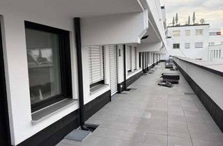 Wohnung mieten in Kapfingerstr. 28, 94032 Innstadt, Neu renoviertes Mietobjekt