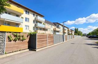 Wohnung mieten in Werftstrasse 36b, 01139 Mickten, ++Tolle Familienwohnung im Werftquartier mieten++