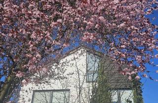Wohnung mieten in 51427 Bergisch Gladbach, 1-Zimmer-Wohnung in Bergisch Gladbach