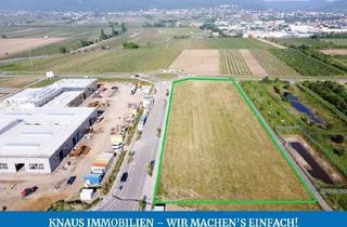 Gewerbeimmobilie kaufen in Louis-Escande-Straße, 67433 Neustadt, Exklusives Gewerbegrundstück in Premiumlage – voll erschlossen | Ab 2.500m²