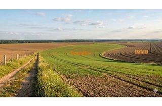 Gewerbeimmobilie kaufen in 79235 Vogtsburg, IMMORath.de - Landwirtschaftliche Nutzfläche zu verkaufen