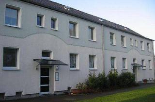 Wohnung mieten in Fine Frau 53, 44149 Dorstfeld, TOP-renovierte 2 Zimmerwohnung in Oberdorstfeld