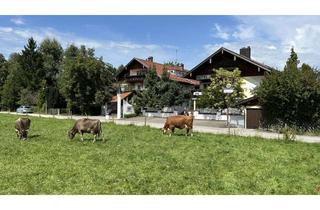 Büro zu mieten in 87645 Schwangau, Praxis? Büro? Café? Gewerbe? In Schwangau an der Kuhweide!